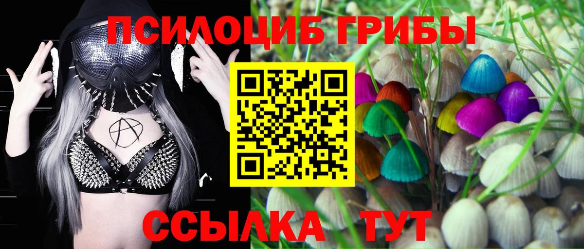 Якутск  Псилоцибиновые грибы MAGIC MUSHROOMS  Псилоцибиновые грибы Psilocybine cubensis  Вход с VPN 
