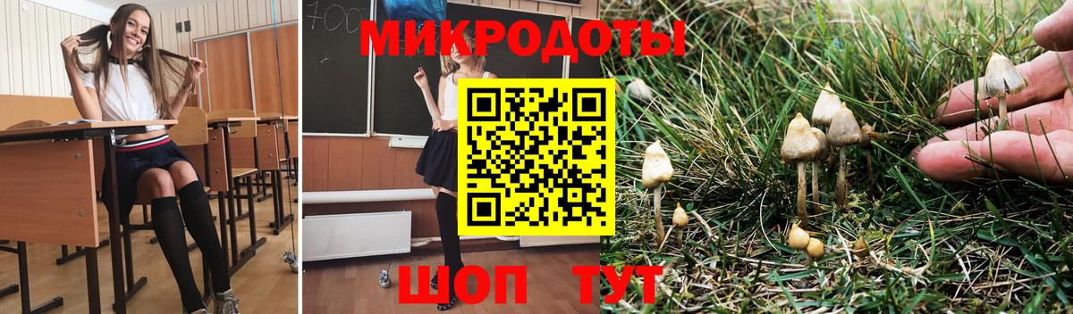 Псилоцибиновые грибы GOLDEN TEACHER Якутск
